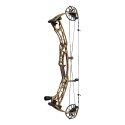 Arc HOYT Alpha X 33