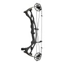 Arc HOYT RX-8