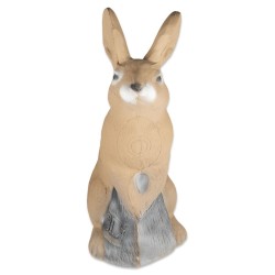 Cible 3DI Bunny