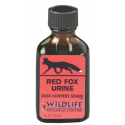 Wildlife Red Fox-P/urine de renard