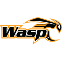 Wasp Drone (pack de 3)