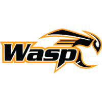 Wasp Drone (pack de 3)