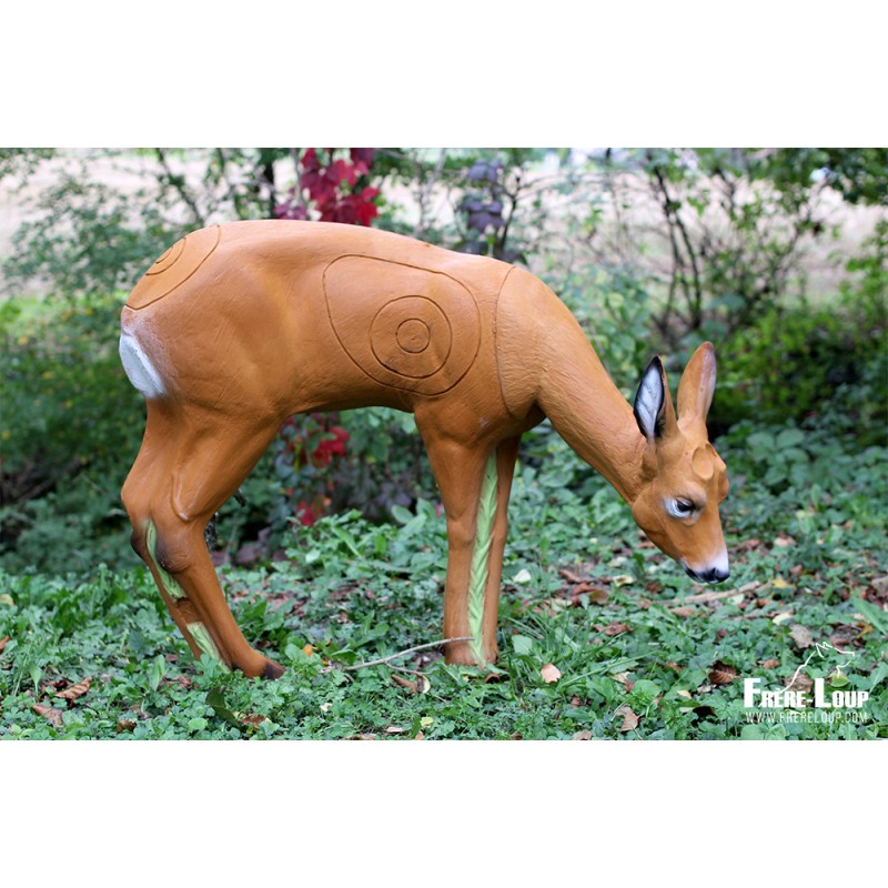 Cible SRT Roe Buck Grazing - chevreuil broutant