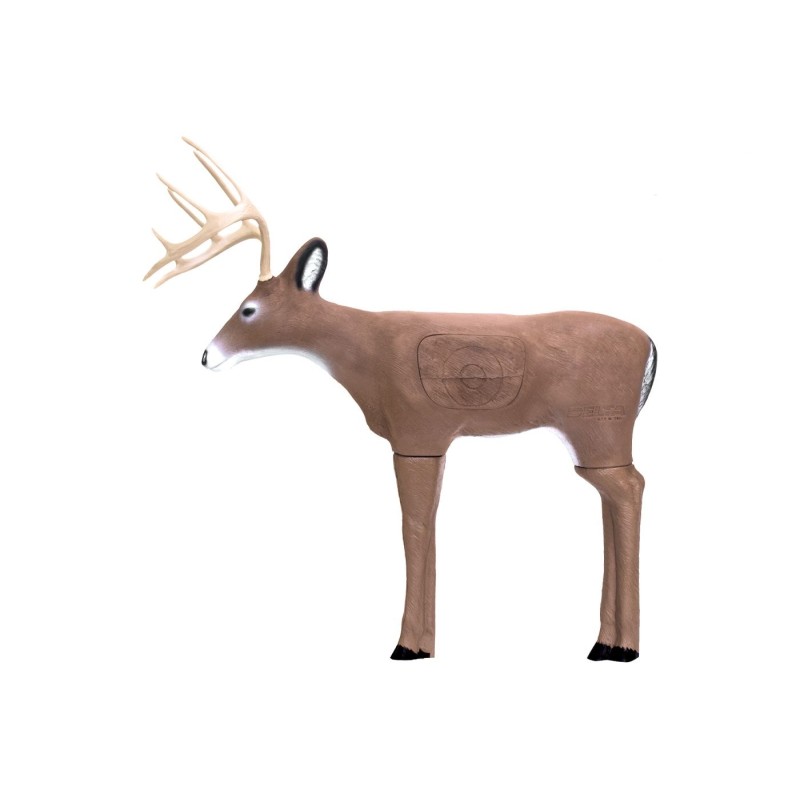 Cible 3D Intruder Buck