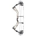Arc Bowtech Reckoning