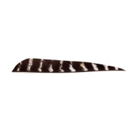 Plume parabolique BEARPAW 4" "TIGREE NATURELLE"