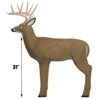 Cible 3D Shooter Medium Buck