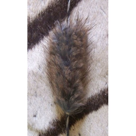 Silencieux Rat Musqué