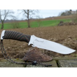 TX Bowie Wildsteer