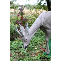 Cible Natur Foam Roedeer Bending Head -tête chevreuil broutant