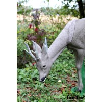 Cible Natur Foam Roedeer Bending Head -tête chevreuil broutant