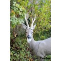 Cible Natur Foam Roedeer Head-tête chevreuil