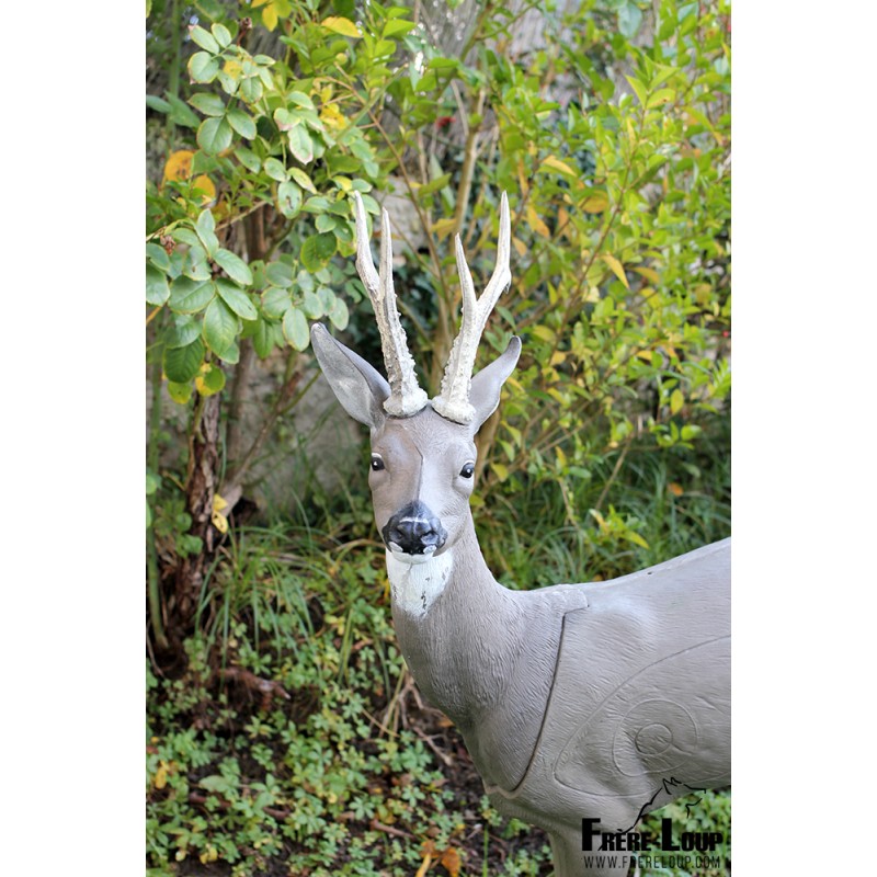 Cible Natur Foam Roedeer Head-tête chevreuil