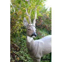 Cible Natur Foam Roedeer Head-tête chevreuil