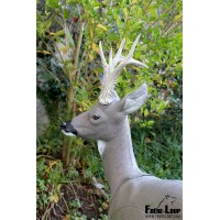 Cible Natur Foam Roedeer Head-tête chevreuil