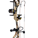 Kit BEAR Species XT
