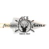 ACE Archery