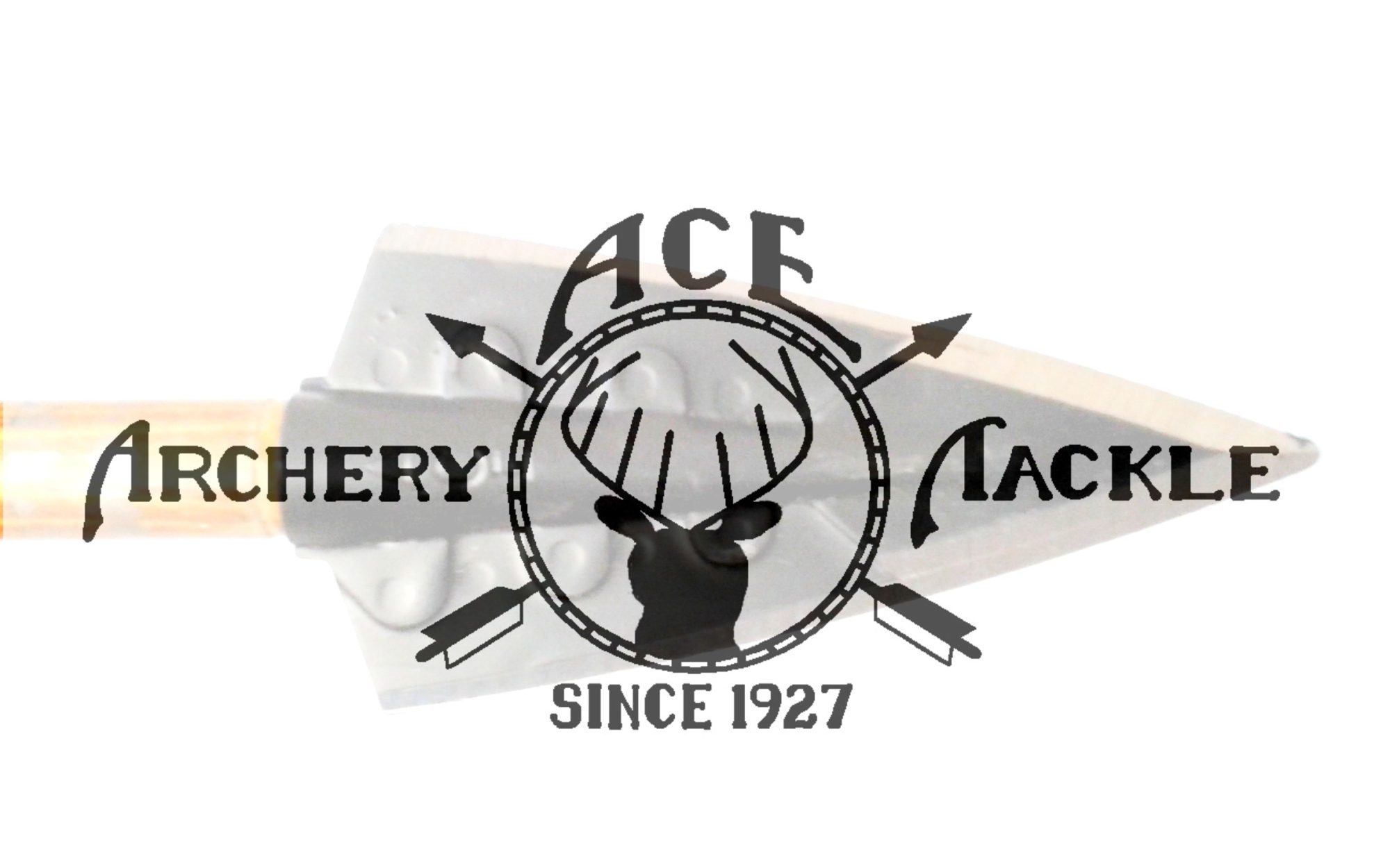 ACE Archery