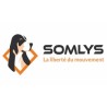 Somlys